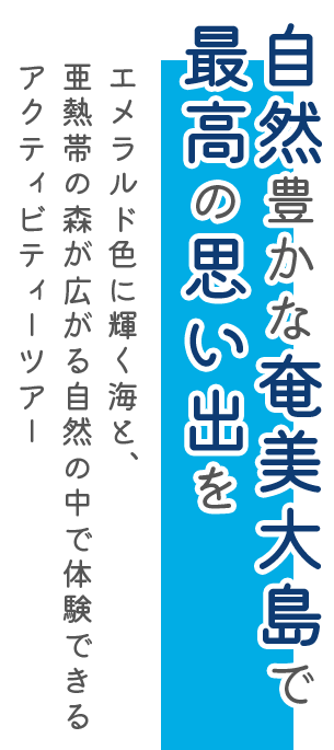 サンゴとヤドカリ|奄美大島のマリンスポーツサービス・観光ツアーサービス。
